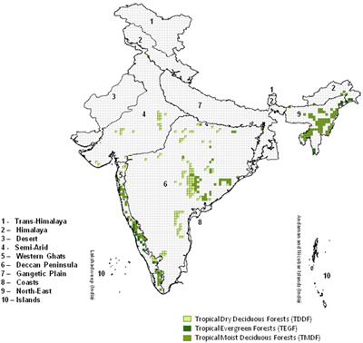 Forecasting wildfires in major forest types of India